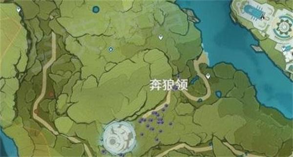 原神钩钩果地点是什么