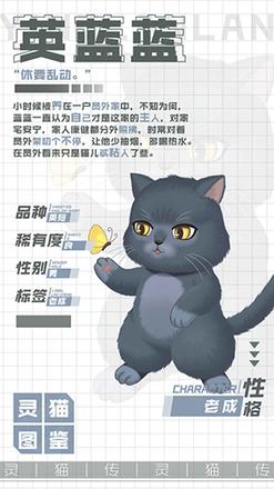 灵猫传英蓝蓝怎么样