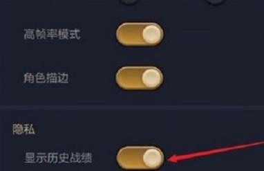 金铲铲之战怎么隐藏对战记录