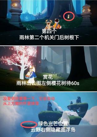 光遇3.30任务攻略：2021年3月30日在雨林赏花和国服蜡烛位置一览图片6