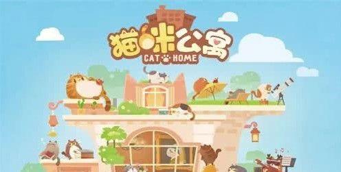 猫咪公寓客房满意度怎么得？客房满意度提升攻略[视频]图片1