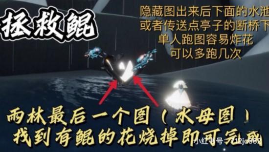 光遇12.20任务攻略大全：2021年12月20日每日任务和在静谧庭院外冥想位置一览图片3