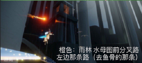 光遇12.24每日任务攻略2021