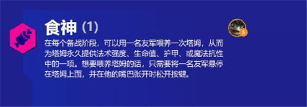 金铲铲之战霓虹之夜羁绊大全：s6.5版本新增羁绊效果解析图片27