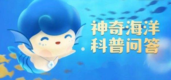 《神奇海洋》海洋生物中，被称为魔鬼鱼的是 6.15