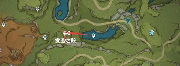 《原神攻略》3.0須彌地區樹王聖體菇採集路線推薦 樹王聖體菇在哪裡