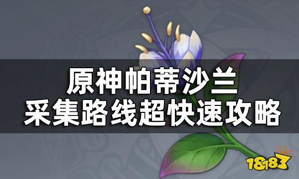 《原神》帕蒂沙兰位置一览 帕蒂沙兰采集路线超快速攻略