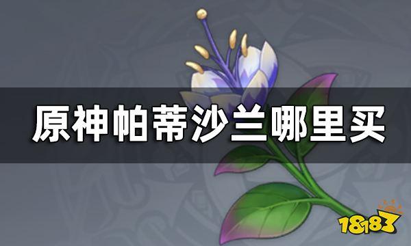 《原神》帕蒂沙兰购买位置 帕蒂沙兰哪里买？