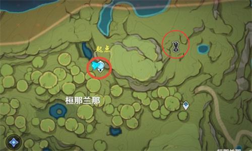 原神须弥梦之树在哪 原神须弥梦之树怎么开