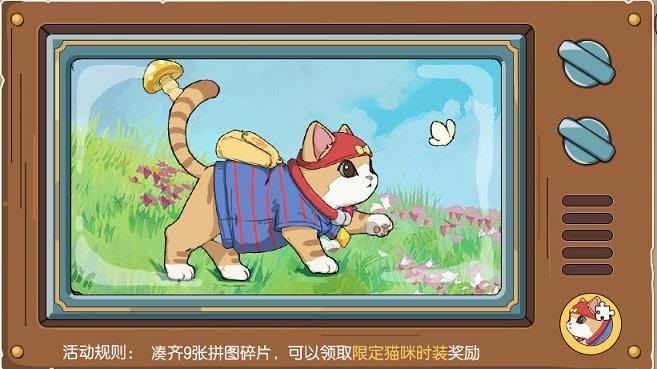 小森生活猫咪选美大赛怎么参加 猫咪选美大赛奖励介绍