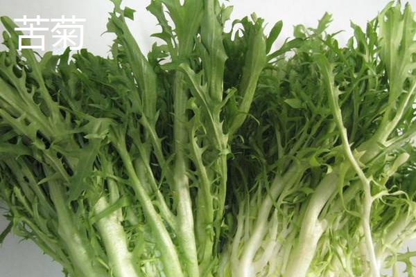 苦苣和苦菊、茼蒿、荠菜的区别是什么