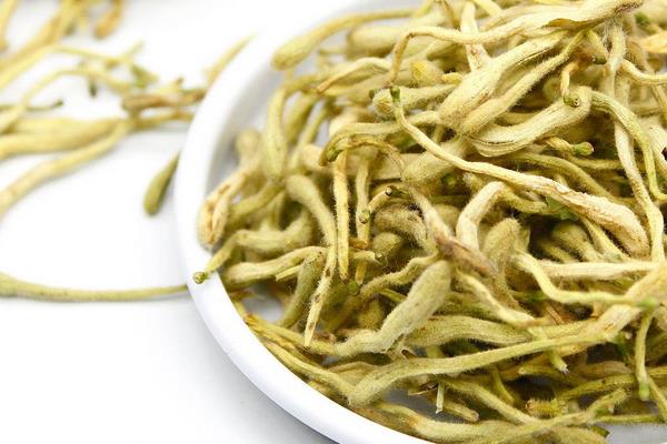 喝金银花茶会回奶吗 金银花茶可以天天喝吗