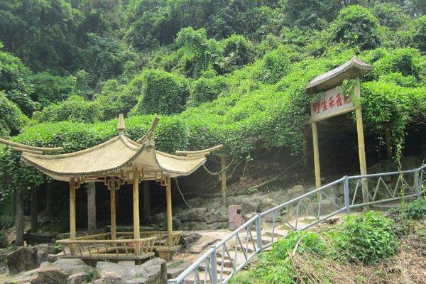 大雁山森林公园好玩吗 大雁山风景区要门票吗