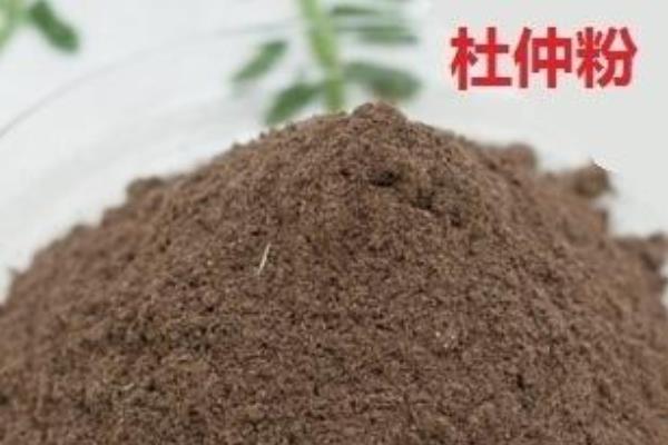 杜仲粉的功效与作用及禁忌 杜仲粉怎么吃