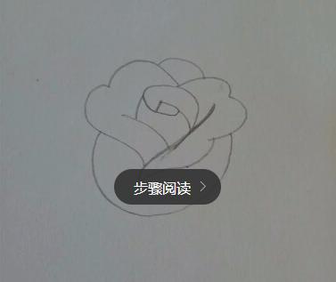 玫瑰花简笔画怎么画（图解步骤）