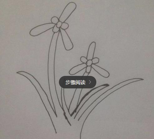 兰花简笔画怎么画（图解步骤）