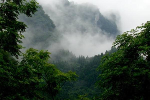 梦见大山是什么意思 女人梦到在大山里行走有什么预兆