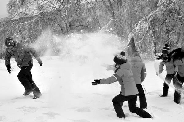 梦见铲雪是什么意思 女人梦到很多人用铁锨铲雪有什么预兆