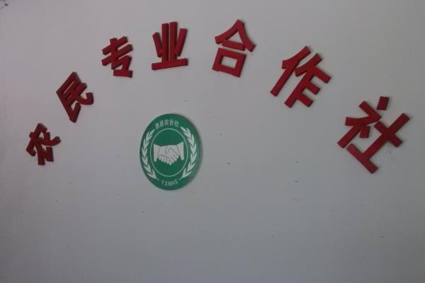 农业合作社响亮的名字，大气的农村合作社名字