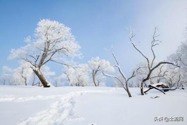 我国大雪节气的含义是什么意思？大雪不见雪有什么说法？