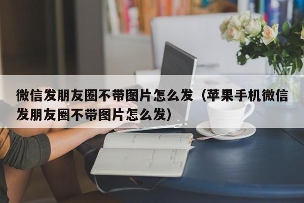 个人微信发朋友圈不带图片怎么发（苹果手机微信发朋友圈不带图方法）