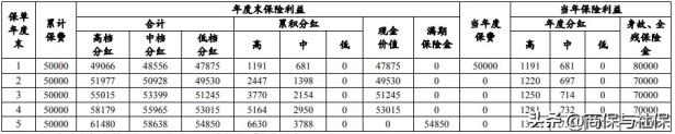 目前两全保险分红型好不好？两全保险分红型是什么意思？