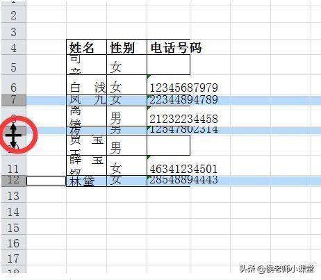 如何调整表格的行高和列宽（分享几种调整excel表格行高与列宽方法）(8)