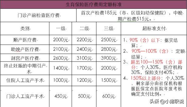 女士生育险一共能拿多少钱（盘点生育险一共报销多少钱）