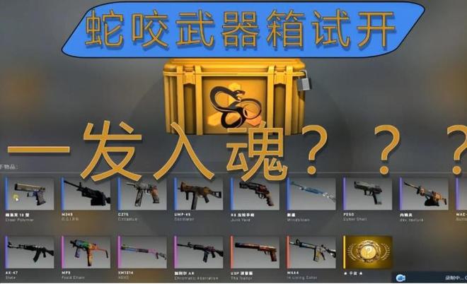 csgo哪个箱子性价比高（新手爆率最高的箱子推荐）