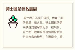 骑士团是什么意思